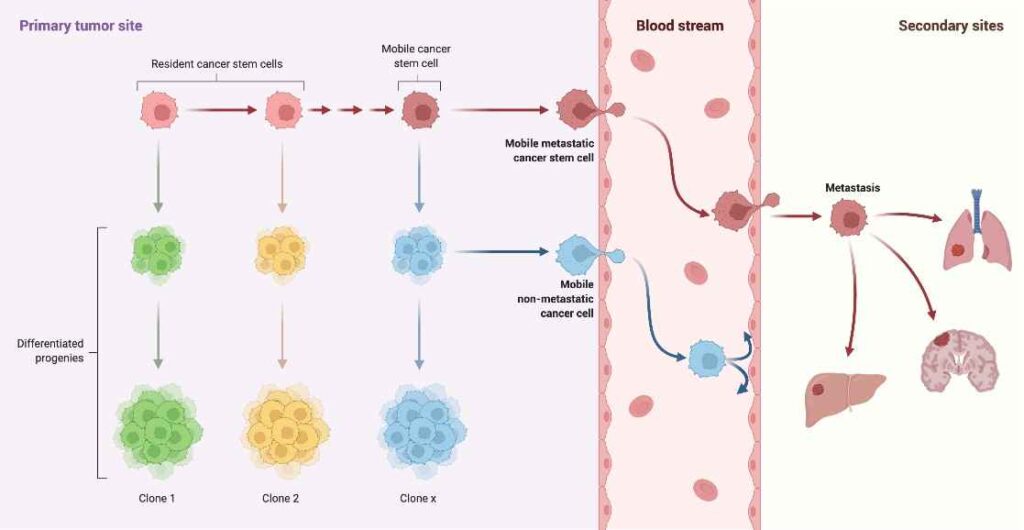 Cancer Doctor in Jaipur