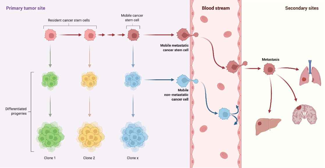 Cancer Doctor in Jaipur