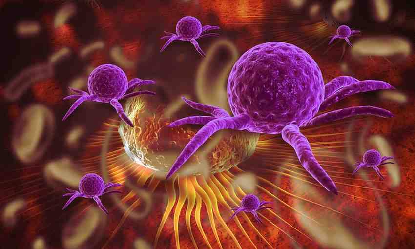 Best Oncologists in Jaipur 2025