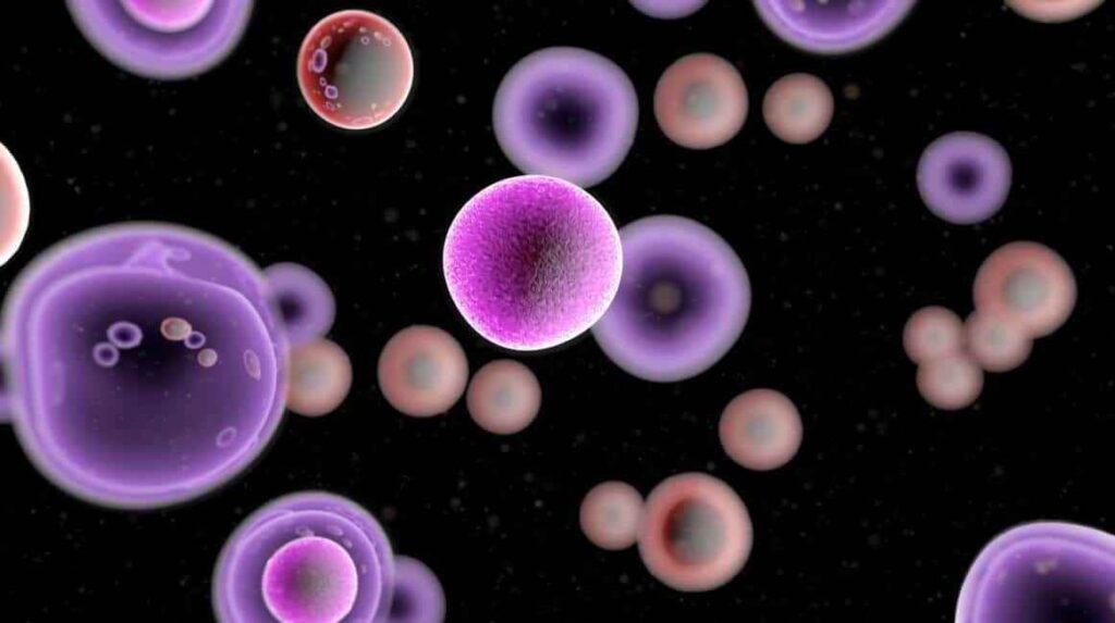 best cancer doctor in Jaipur